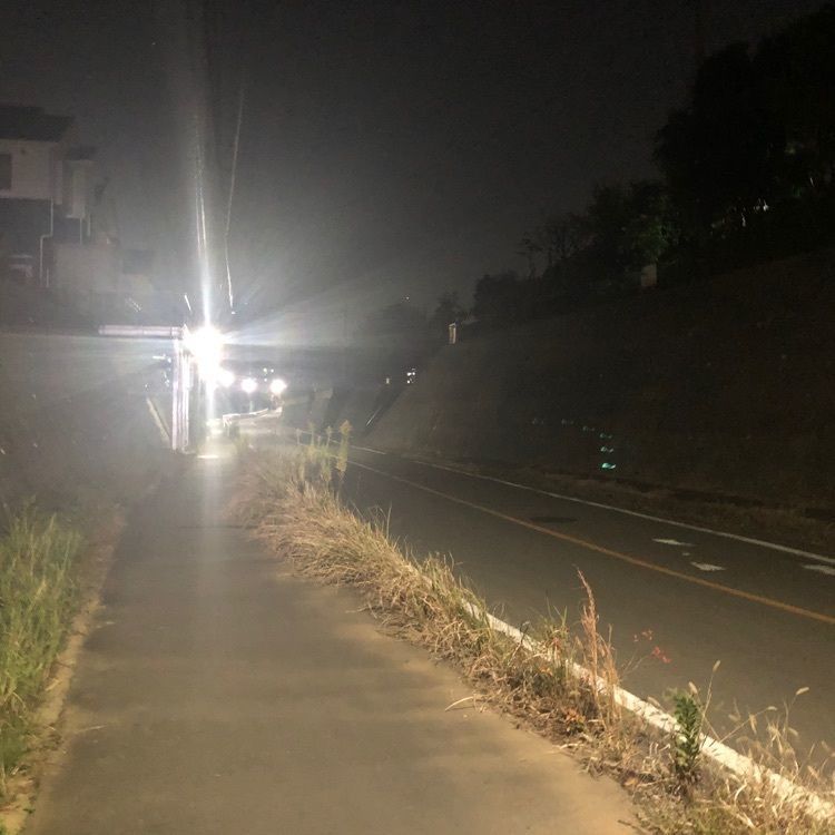タッキーさんが投稿したパーシモンに関する口コミの画像