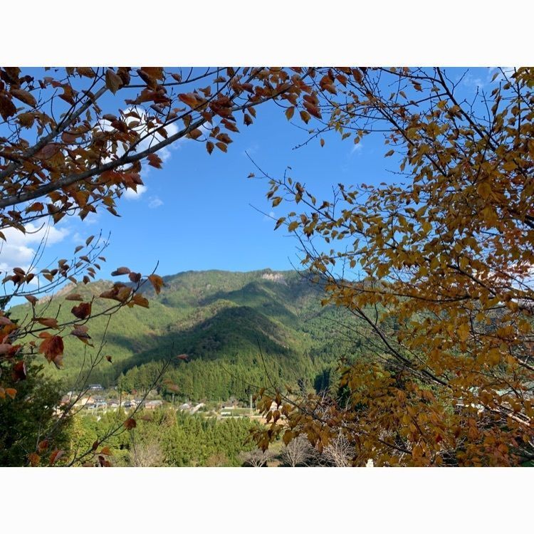 Howl Monさんが投稿した学童農園山びこの丘キャンプ場に関する口コミの画像