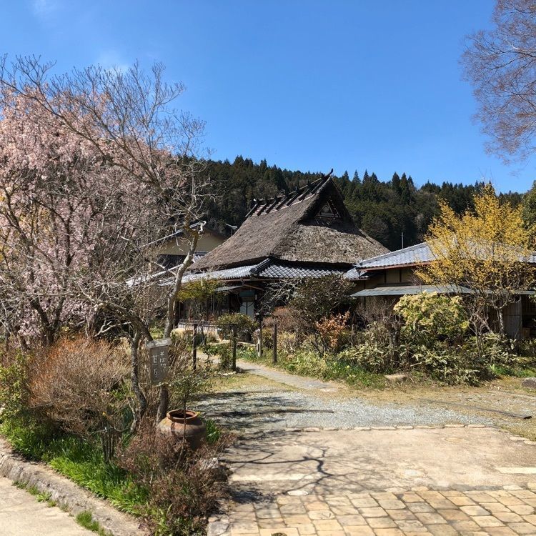 Moonさんが投稿したそば切り 蔦屋（そばきりつたや）に関する口コミの画像