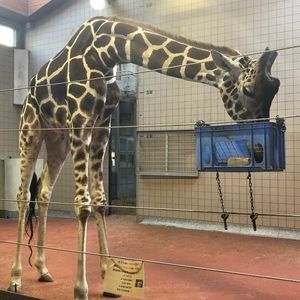 天王寺動物園