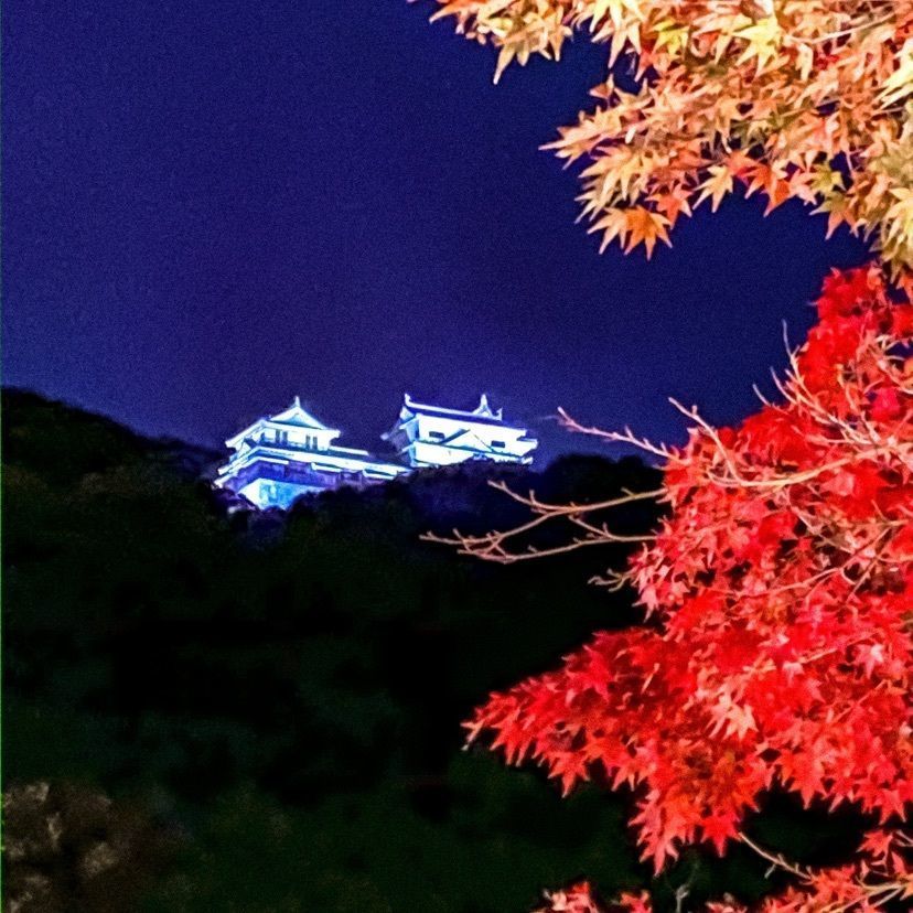 MinionPapaさんが投稿した画像の画像