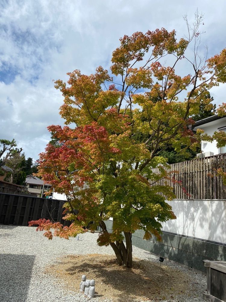 familiar_tourism_c992イーコさんが投稿した成福院に関する口コミの画像