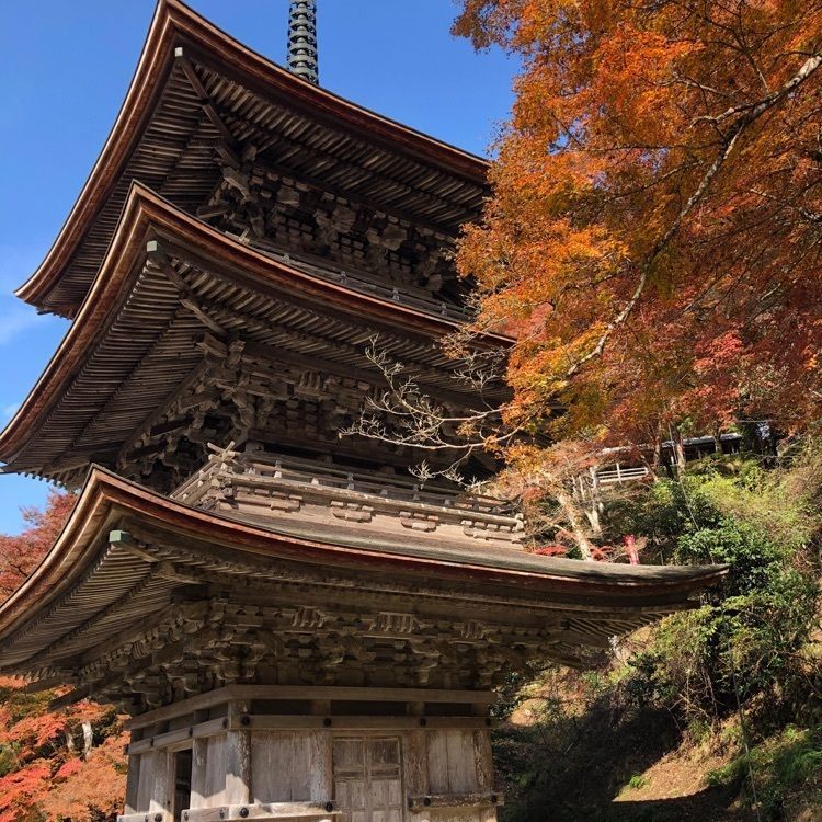 じゅんさんが投稿した金剛院に関する口コミの画像