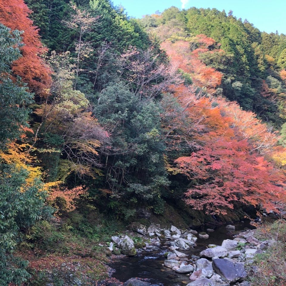 M78Seiunさんが投稿した木谷峡／もみじに関する口コミの画像