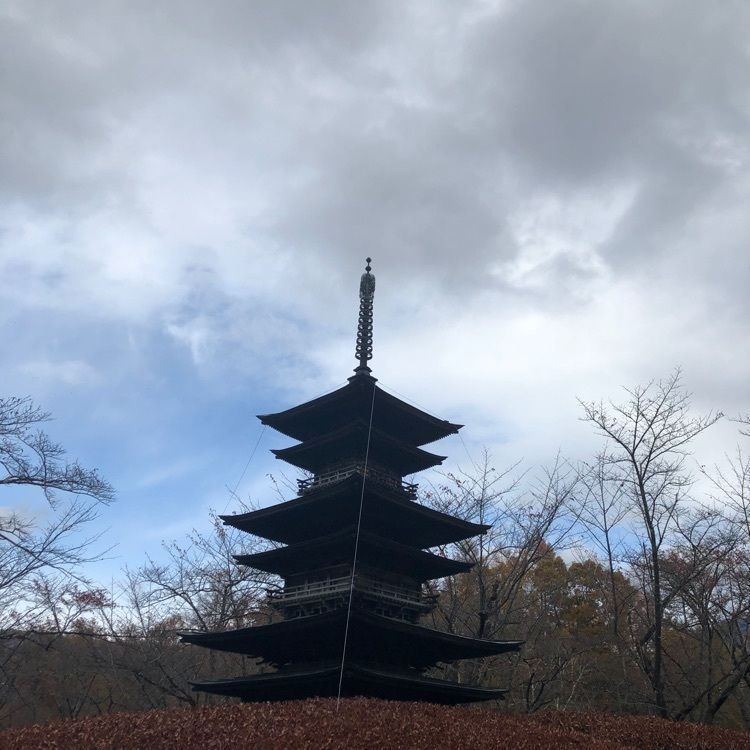 ノブリンさんが投稿した蓼科山聖光寺の桜に関する口コミの画像