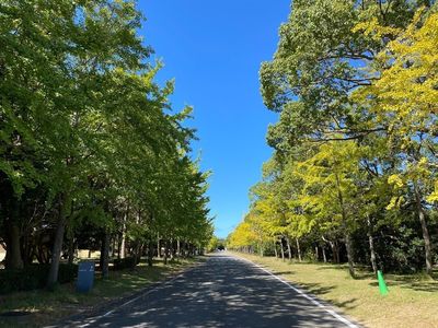 国営海の中道海浜公園デイキャンプ場 1枚目