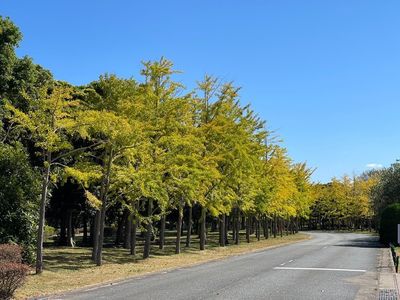 国営海の中道海浜公園デイキャンプ場 2枚目