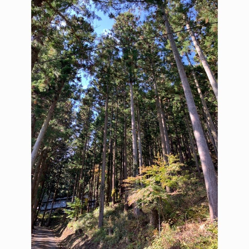 junkunさんが投稿した城峯神社に関する口コミの画像