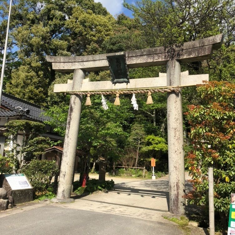 bubu_y_tさんが投稿したよけいなお世話 玉造に関する口コミの画像
