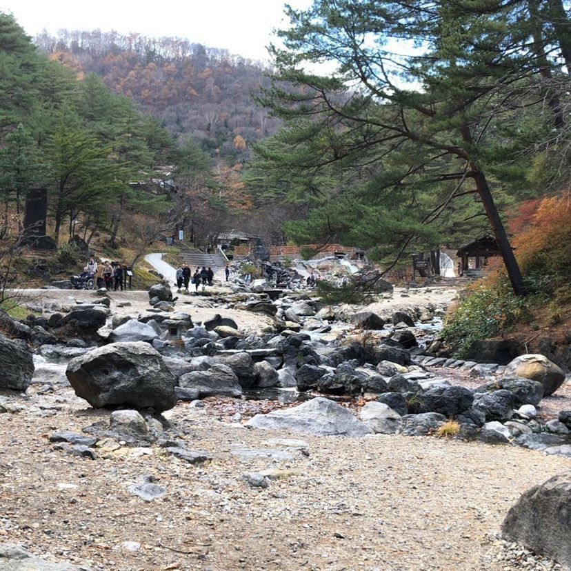 nabetasoさんが投稿した草津温泉ホテルリゾートに関する口コミの画像
