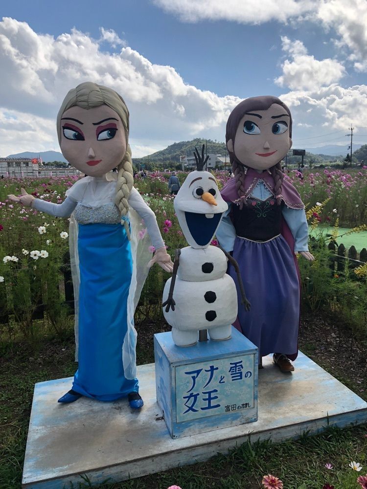 Tettsuさんが投稿した京都丹波/亀岡『夢コスモス園』に関する口コミの画像