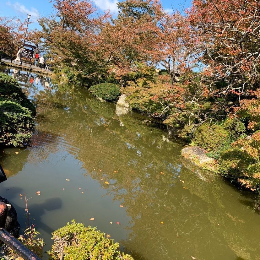 formal_cafeteria_bbd5さんが投稿した清水寺に関する口コミの画像