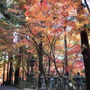 佛通寺