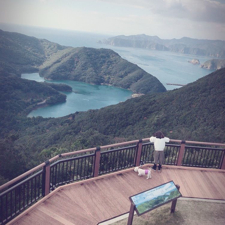 赤毛のアンさんが投稿した鵜倉園地に関する口コミの画像