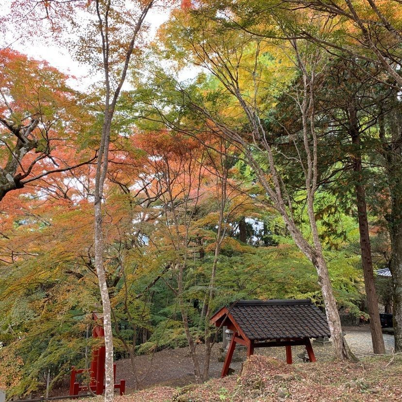 メリーさんが投稿した稲荷山公園に関する口コミの画像
