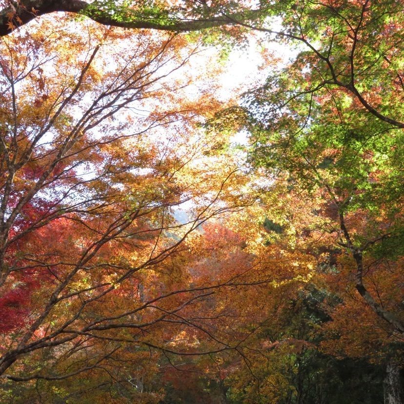 メリーさんが投稿した稲荷山公園に関する口コミの画像