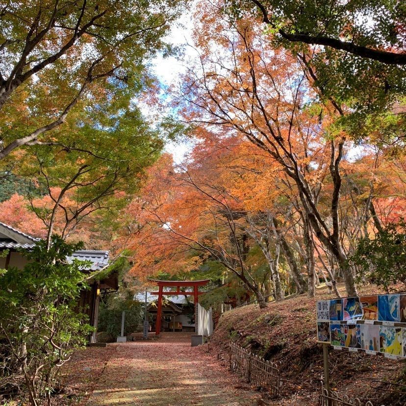 メリーさんが投稿した稲荷山公園に関する口コミの画像