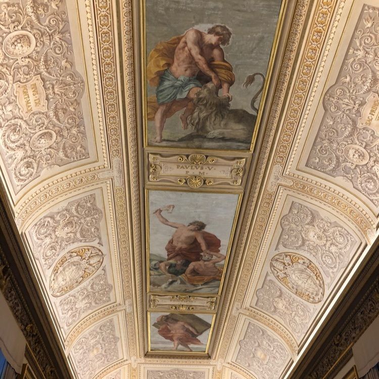surumeさんが投稿したFarmacia Vaticanaに関する口コミの画像