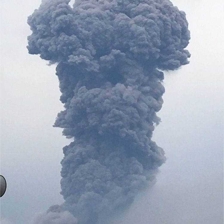 ぴよさんが投稿した平川マリーナマルシェに関する口コミの画像