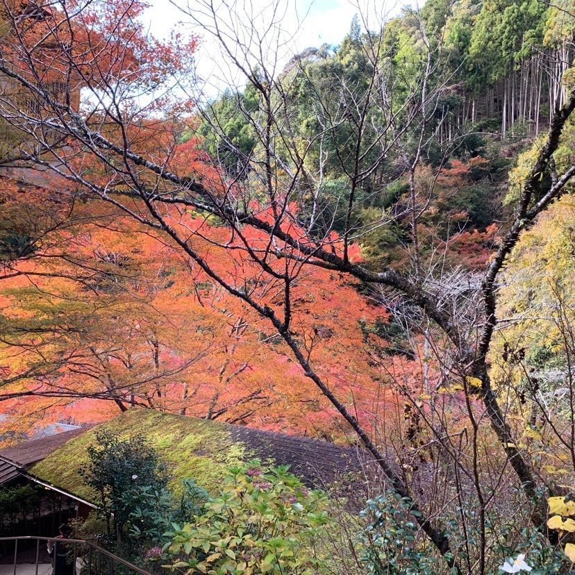 story of my lifeさんが投稿した高雄　錦水亭に関する口コミの画像