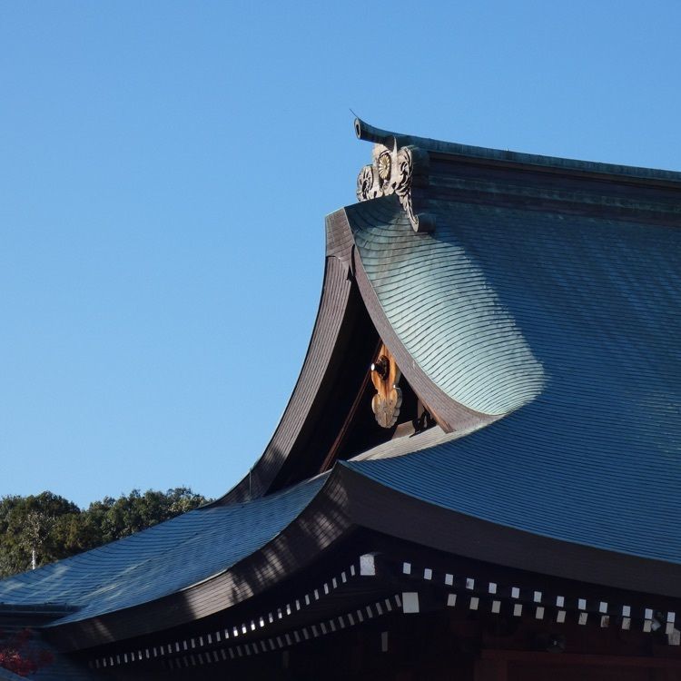 joyful_landscape_715eさんが投稿した橿原神宮養正殿（養正殿）に関する口コミの画像