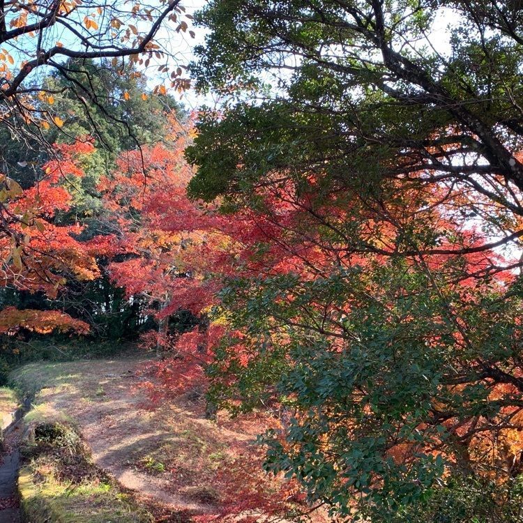 formal_cafeteria_8688さんが投稿した用作公園に関する口コミの画像