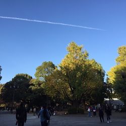 21 上野公園見どころ11選 動物園 美術館などを徹底解説 Aumo アウモ