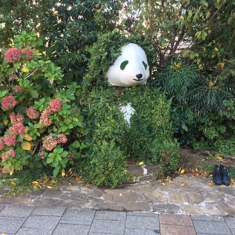 たま(^.^)さんが投稿した小肥羊 上野公園店（シャオフェイヤン）に関する口コミの画像