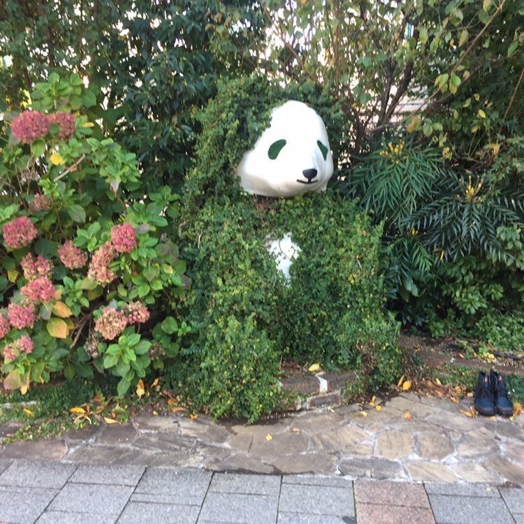 たま(^.^)さんが投稿した小肥羊 上野公園店（シャオフェイヤン）に関する口コミの画像