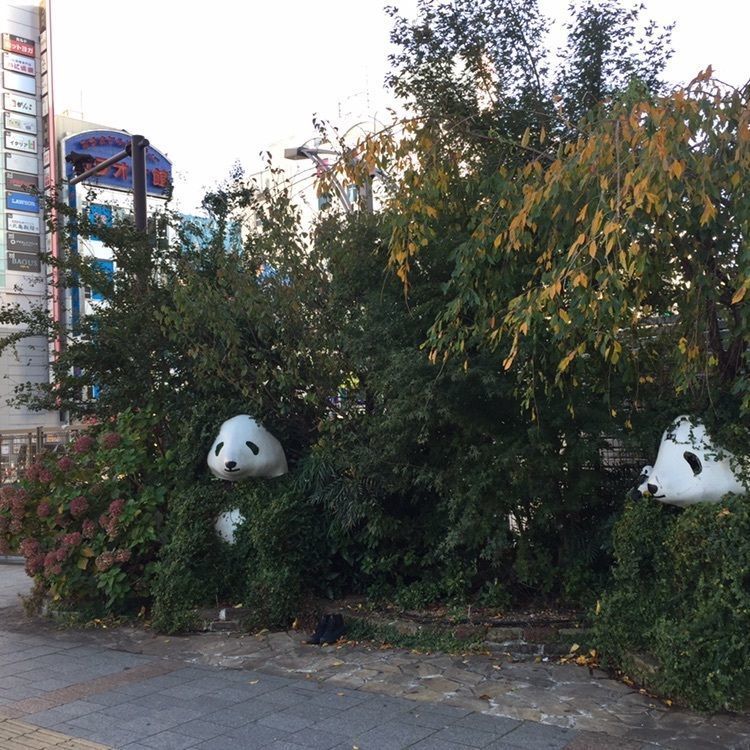 たま(^.^)さんが投稿した小肥羊 上野公園店（シャオフェイヤン）に関する口コミの画像