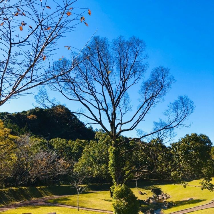 ユリユリさんが投稿した十曽池公園に関する口コミの画像