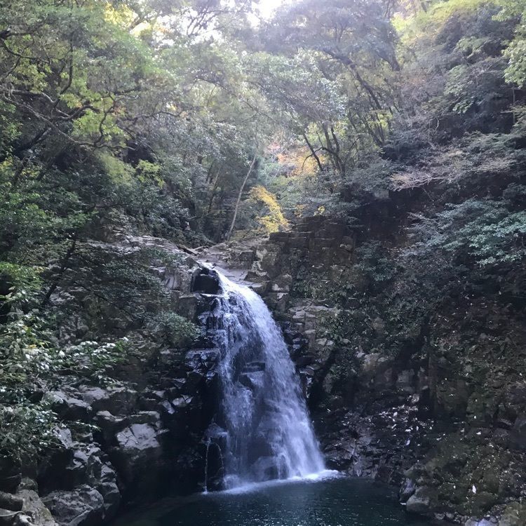 けんちゃん1973さんが投稿した赤目四十八滝に関する口コミの画像