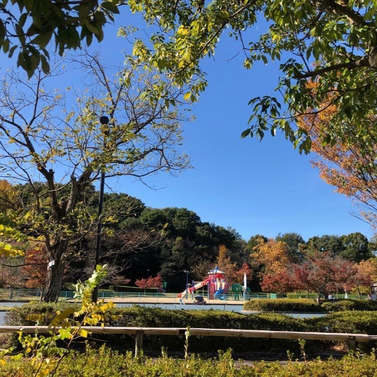花❁⃘華  さんが投稿した砥部町陶街道ゆとり公園に関する口コミの画像