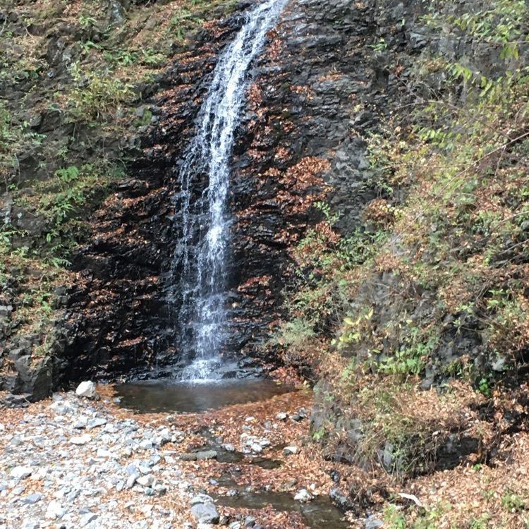 Shoさんが投稿したみかえりの郷　彩花の湯に関する口コミの画像