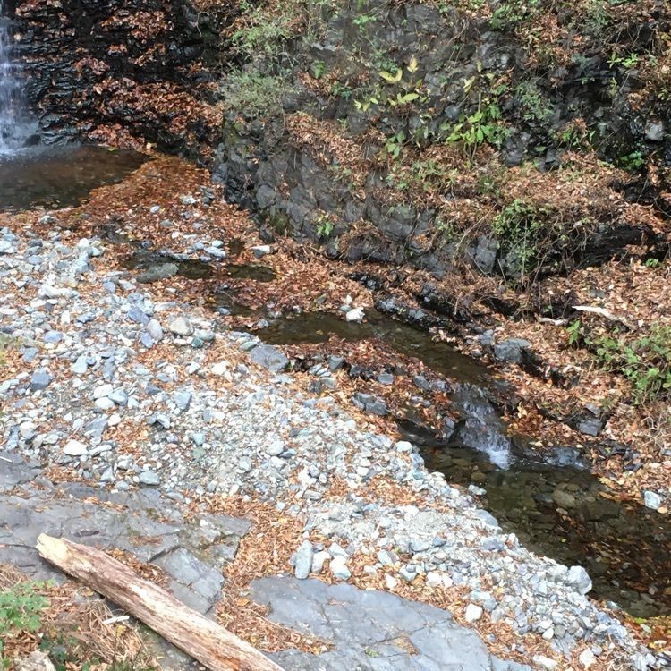 Shoさんが投稿したみかえりの郷　彩花の湯に関する口コミの画像