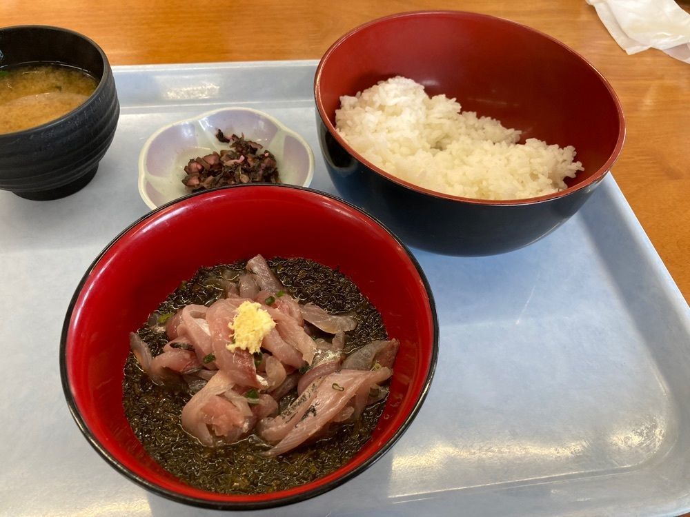 mori_shinの画像