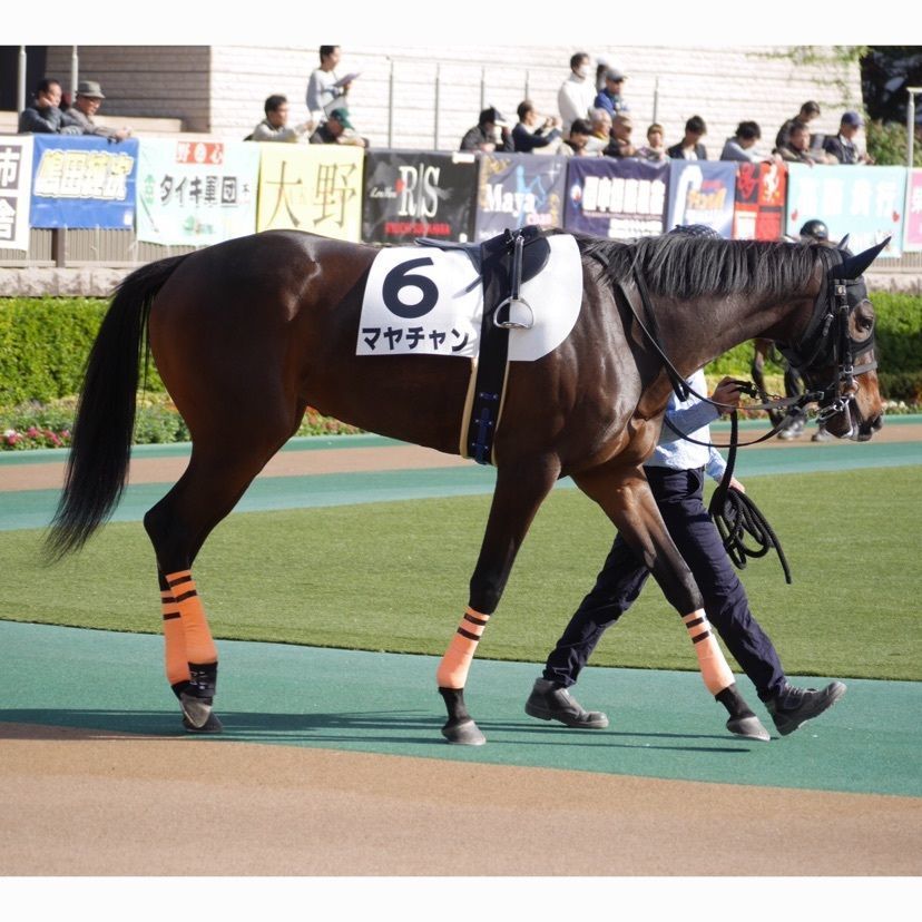 himbaさんが投稿した豚や 東京競馬場店に関する口コミの画像