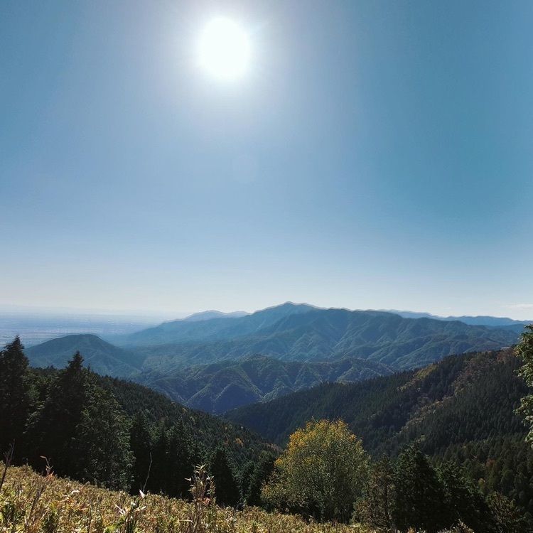くみたろうさんが投稿した竜ヶ岳に関する口コミの画像