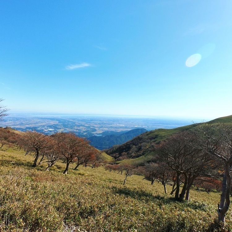 くみたろうさんが投稿した竜ヶ岳に関する口コミの画像