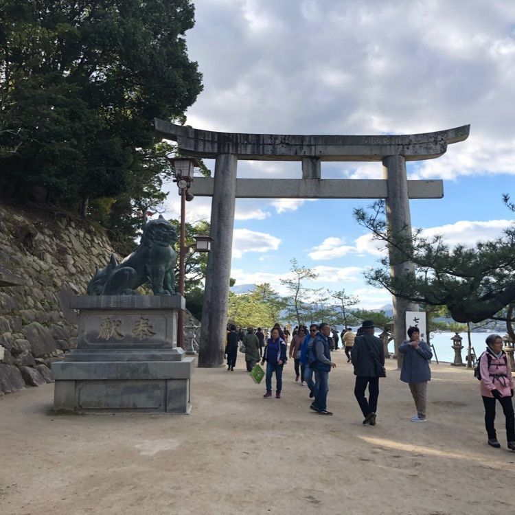 Hanaさんが投稿したとりいに関する口コミの画像