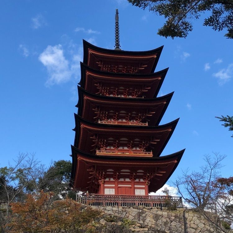 Hanaさんが投稿したとりいに関する口コミの画像