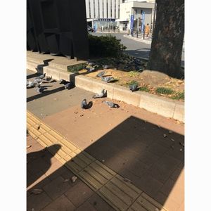 マクドナルド 15号鶴見店