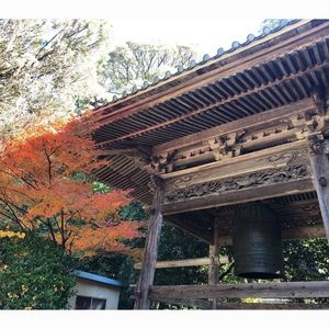 猿投山登山道 4枚目