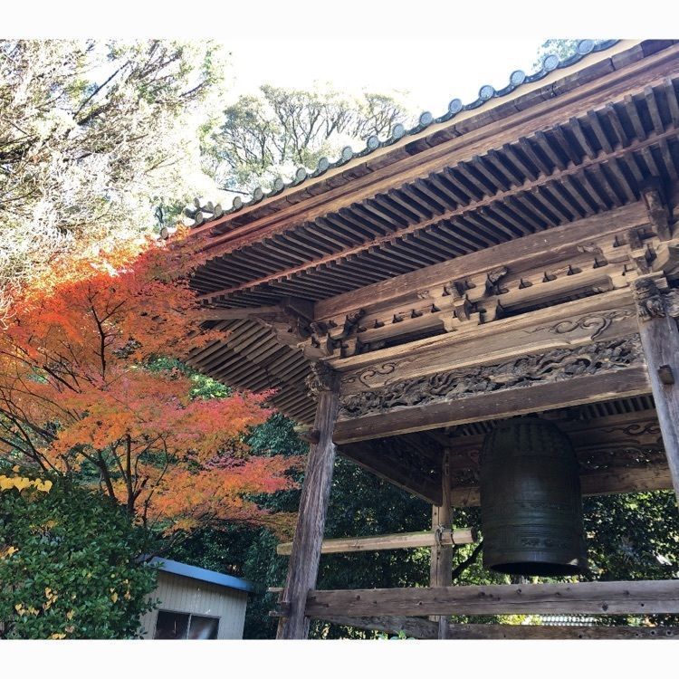 takeさんが投稿した猿投山登山道に関する口コミの画像