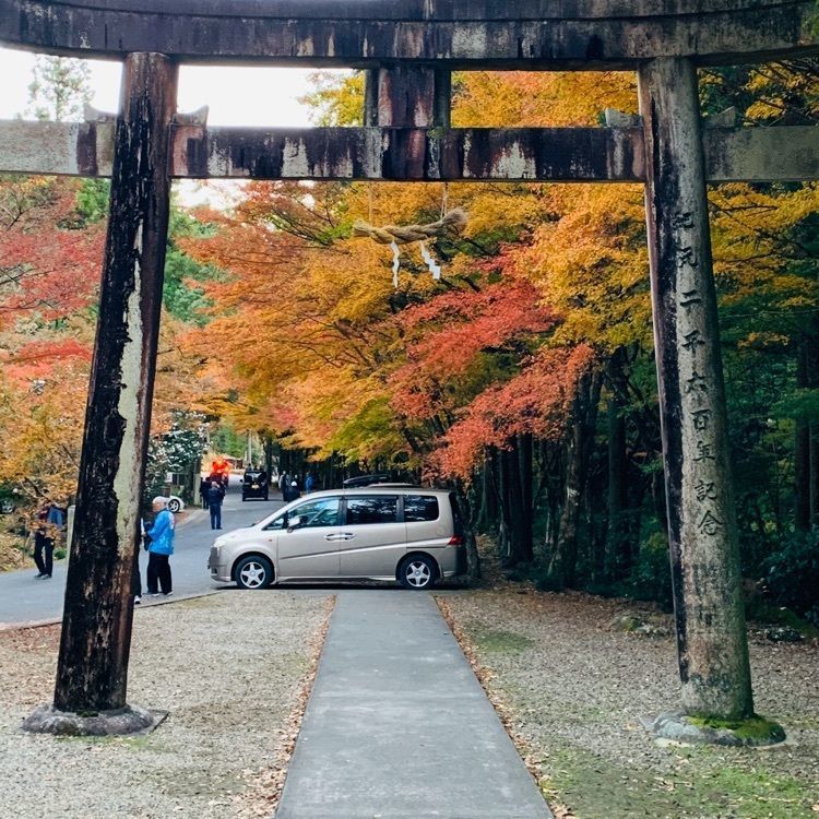 だるま大使さんが投稿した大矢田もみじ谷に関する口コミの画像