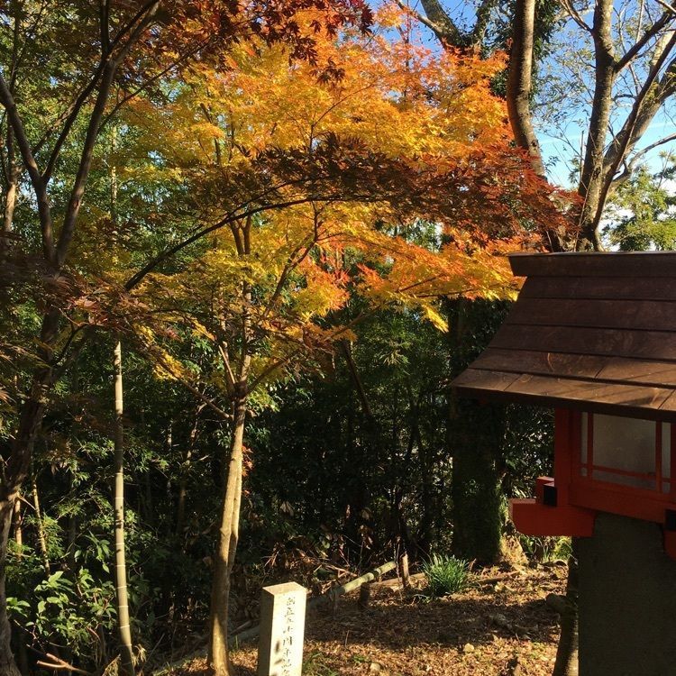 やすさんが投稿した津峯神社に関する口コミの画像