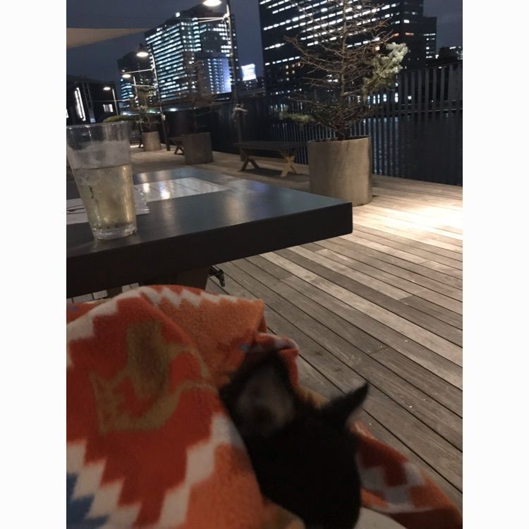 ayapさんが投稿したPITMANSに関する口コミの画像