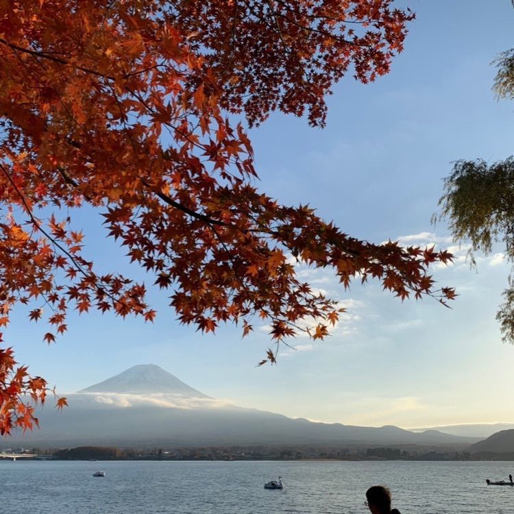 Jineiの画像