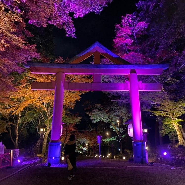 Hideさんが投稿した日吉大社の紅葉に関する口コミの画像