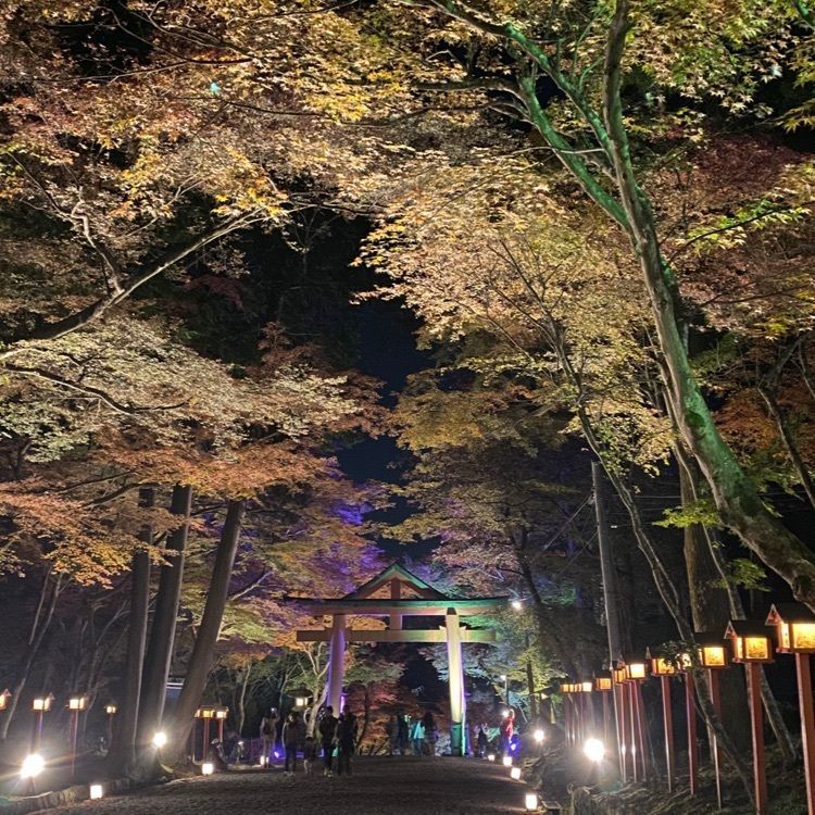 Hideさんが投稿した日吉大社の紅葉に関する口コミの画像